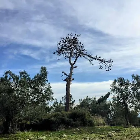 Mutlu Koy'de Sakinligin Adresi Tatil Evi
