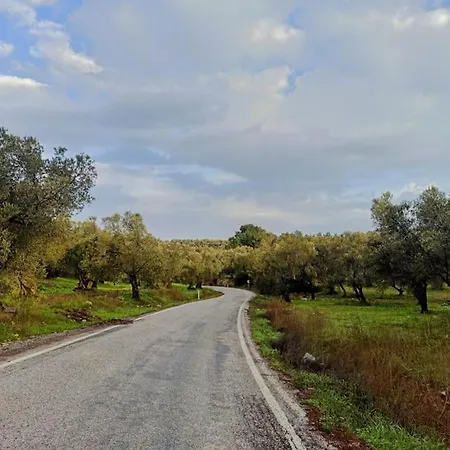 Tatil Evi Mutlu Koy'de Sakinligin Adresi
