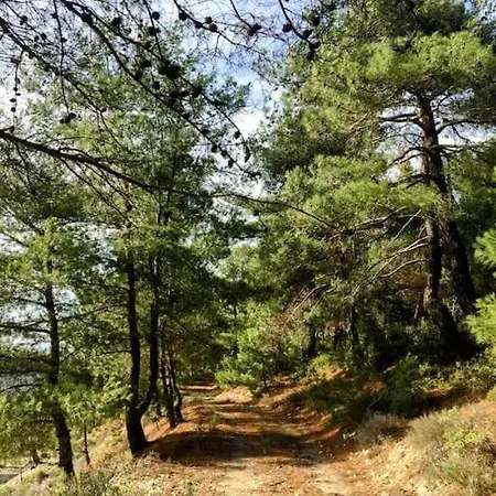 Tatil Evi Mutlu Koy'de Sakinligin Adresi