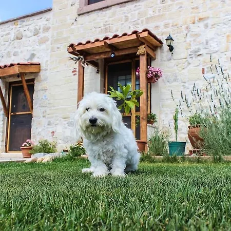 Mutlu Koy'de Sakinligin Adresi Tatil Evi